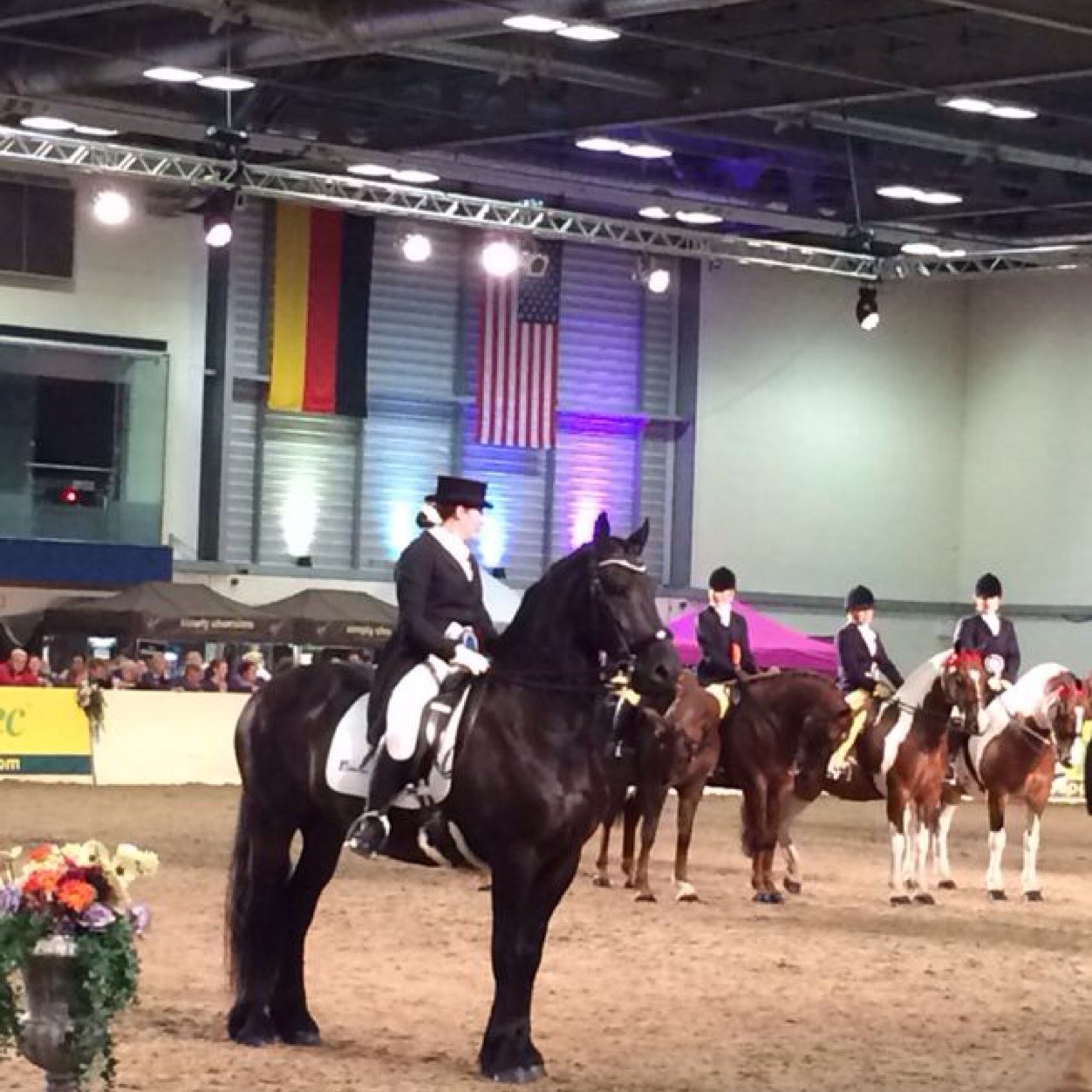 hantink's profile picture. Showing and Dressage Rider