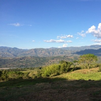 bancheca's profile picture. Fan de razonar, seguidor de la intuición