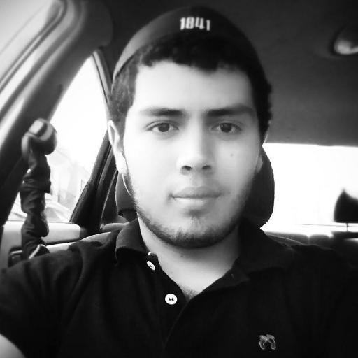 solo soy un chico ordinario que estudia ingeniería y que le gustan los pandas 3