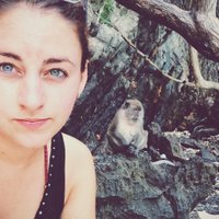 Kelsey Brongo (@kelseybrongo) 's Twitter Profile