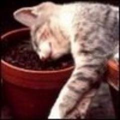 Глущенко Оксана