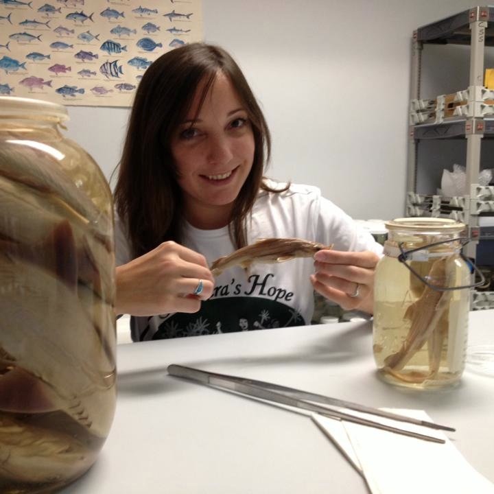 DarwinsAquarium's profile picture. Scientist. Teacher. Interested in NGS, Connectivity & Conservation status of Fishes. CrossFit. Scuba. Tweets are my own