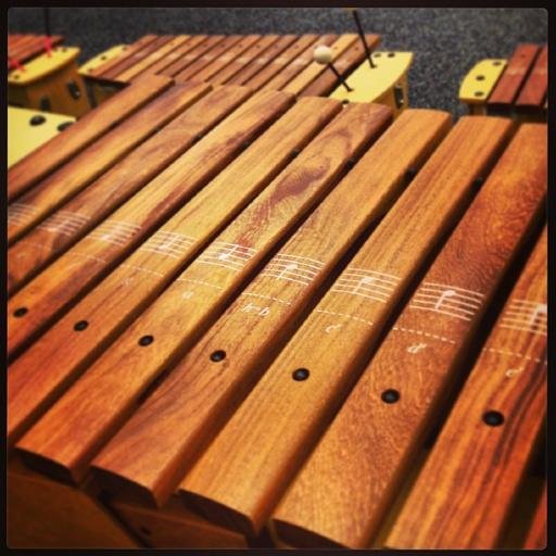 MrHarwoodMusic's profile picture. Music teacher for Rockwell Elementary School.