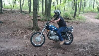 Country Life is the Life