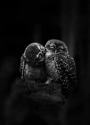 CarolynBandalo's profile picture. 