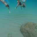 Marina Navarrete - @MarinaDaCapo - Twitter