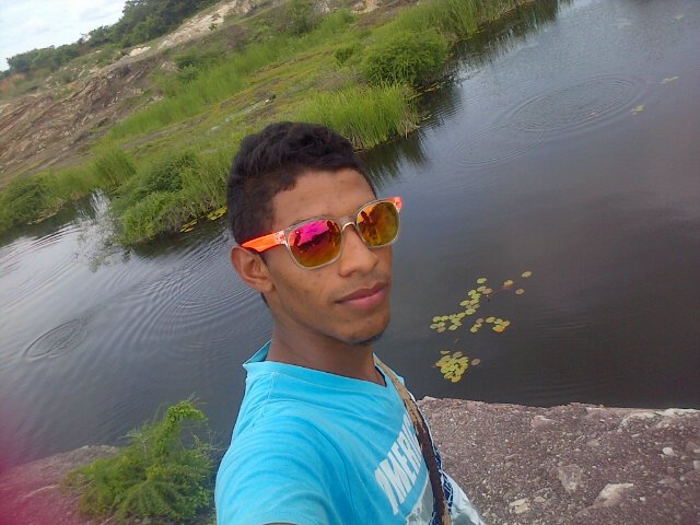 Reynaldista