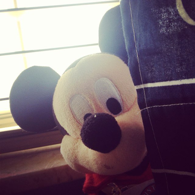 I am trying to make the biggest Mickey & Minnie Plush doll collection in the world. All picks will be ones I take & dolls will be ones I have.