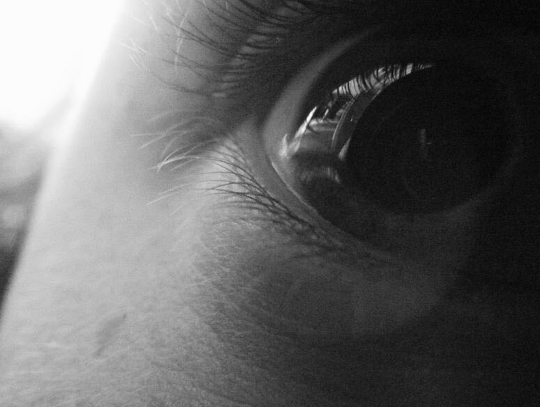 sherlockasaurus's profile picture. 