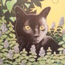 Lauri Barnes - @LauriBarnes13 - Twitter