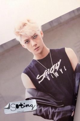 'B.A.P' '2PM' 'SS501' 'GOT7'  'EXO'   EXO-L   HUNHAN  - 19            *YABANCI