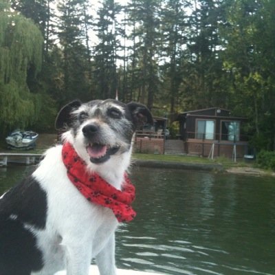 nancygurniak's profile picture. 