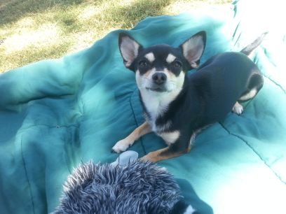 True_io's profile picture. https://t.co/LaAvlAINQd   Video Forum.   Own your tube.