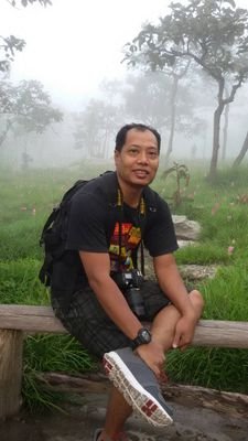 SatchaToi's profile picture. 