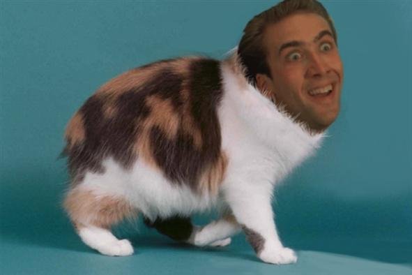 PoncesPants's profile picture. 