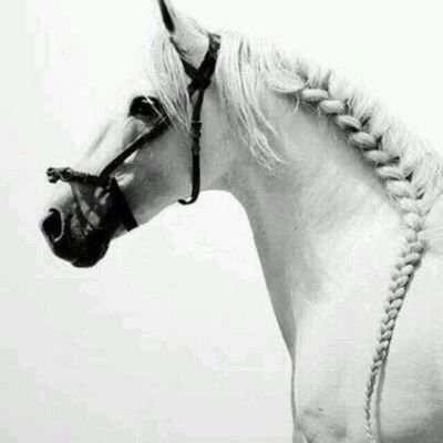 memoksa_km's profile picture. الأُنثى أوتارها رقيقةٌ .. 
فأجَعل منها لحَن ملائَكي !