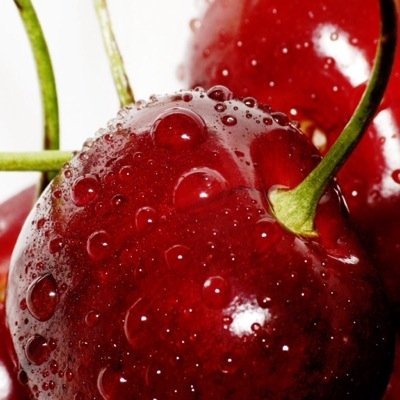 جميعنا راحلون فلنتقي الله