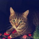 Andersen Faith - @AndersenFaith - Twitter