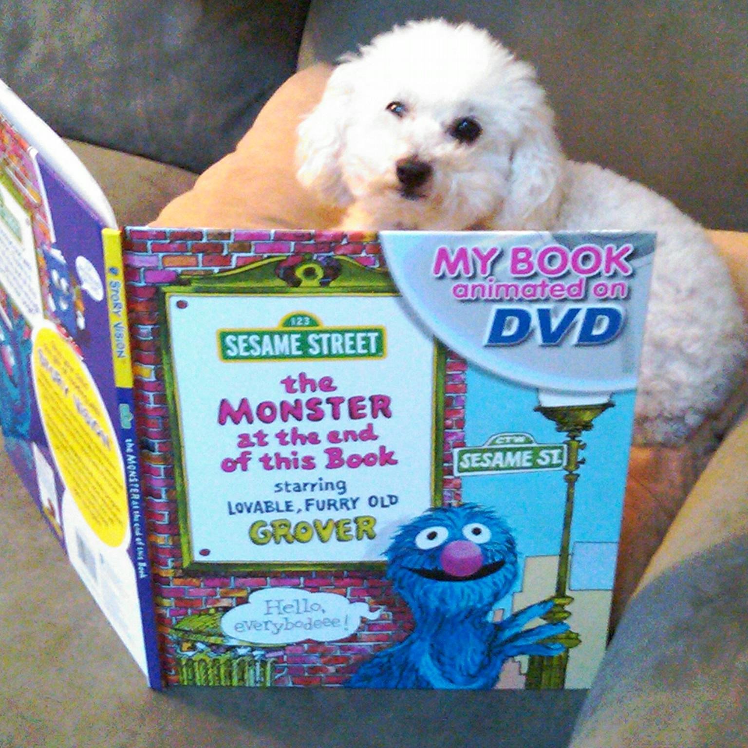 Library Teacher @D13eagles along with being a mom, wife and puppy lover who is obsessed with Sesame Street!