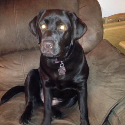 swit0424's profile picture. 