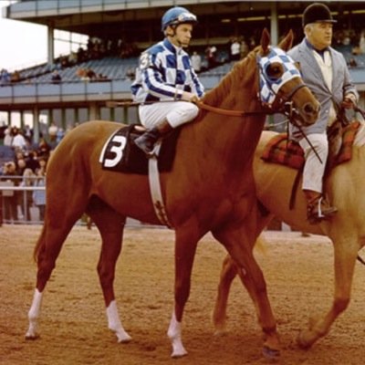 TbProbs's profile picture. 