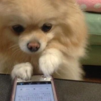 frowncloud's profile picture. uh yea thats rly me