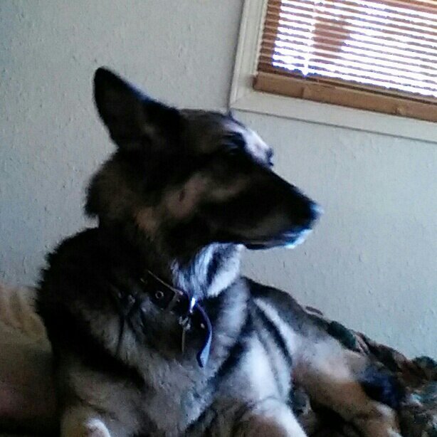 Newly retired and excited about experiencing life on the other side!