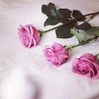 mo_moo1234's profile picture. قل الحمدُلله وانت تشعر بها وأسْتغفر الله وانت نآدمٌ على ما فعلتْ فان الذكر والحمد لله ليس روتِين بل عبادة 

lnstagram; o_m17