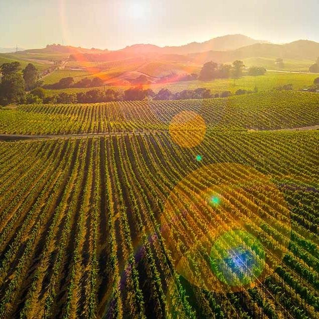 seenapavalley's profile picture. Visit Tour Enjoy and See Napa Valley