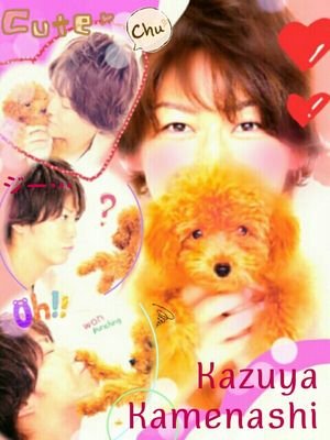 KAT-TUN♡はーちゃん♡亀担d(ﾟ∀ﾟ｡)29歳。ゆるく楽しく応援したい(*´ω`*)