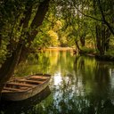 Dolores Murphy - @dolomac66 - Twitter