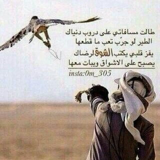 ahmd awad