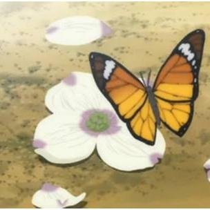 ぷ▂▃▅▆█ ☆。✿*Como en♡★ ✻.¸¸.❤☼¸.✻´´¯`✻ toda verdadera AVENTURA la vida nos hace creer que todo esta perdido justo antes del FINAL PERFECTO.か頂き