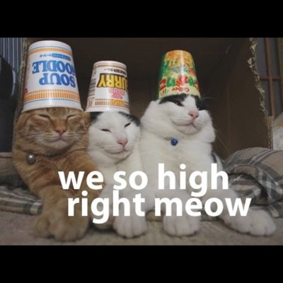 SaadHawkHut's profile picture. Just lookinh to gain some respect and do some giveaways! Keep it chill bruh bruh