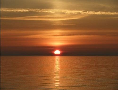 sexylove_7884's profile picture. WHEN YOU FALL IN LOVE, YOU WILL BE HURT. SO, WHY DO WE CHOOSE TO FALL IN LOVE?