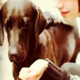 動物好きで特に犬が好きで、自宅で3匹のワンちゃんと暮らしています！NBAはヒート、セリエAはユーベ、NBAと海外サッカー、犬好き、猫好きさんは相互フォロー是非お願いします！