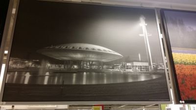 MaryBogers's profile picture. 