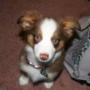 Amy Wescott - @WescottAmy - Twitter