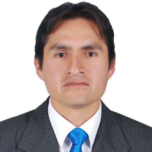 Docente Universitario, Responsable UI Gobierno Regional, Consultor y Ejecutor Gobierno Regional y Local en TIC y Telecomunicaciones y entidades privadas.