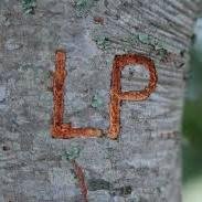 HubLP2014's profile picture. Living and loving at Oklahoma Christian University!