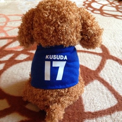 なべやんさんのプロフィール画像