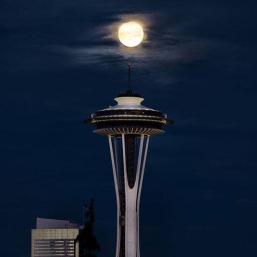 1973Rhonda's profile picture. Mom of two college student