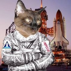 adambird420's profile picture. Stay trippy.⛽️