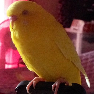 アルヴァ No Twitter Ff零式のエンディングがいつみても泣ける T T あれはいい話だ Http T Co Dgalludzbu アルヴァ No Twitter Ff零式のエンディングがいつみても泣ける T T あれはいい話だ Http T Co Dgalludzbu