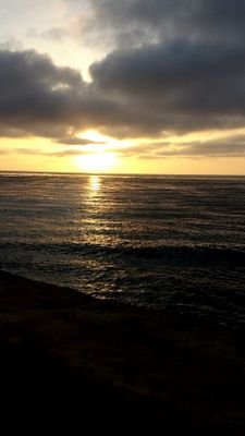 trueshitsz's profile picture. lala..