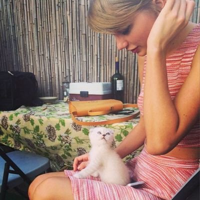 Swiftie4life33's profile picture. I love Taylor no matter what3