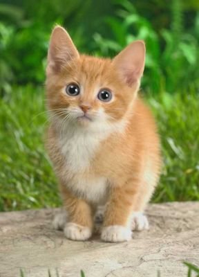 b7ae62fb9e0d441's profile picture. t.v.b. fede3