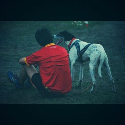 CanicrossT's profile picture. I canicross ciudad de torrelavega 5 de octubre de 2014 Informacion e inscripciones en el facebook del primer Canicross popular ciudad de torrelavega