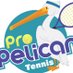 Pro Pelican Tennis (@propelicantweet) Twitter profile photo