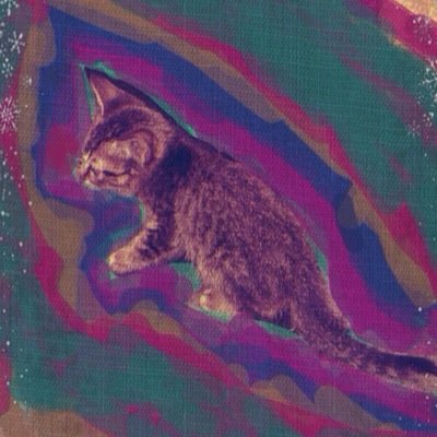 ねこと音楽